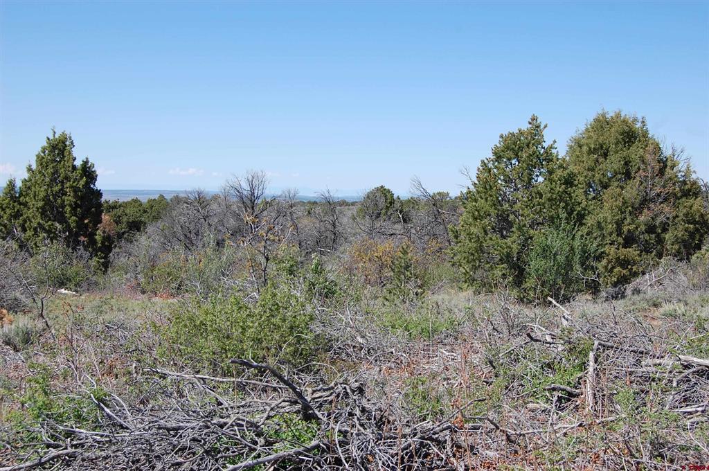 4195 De Oro Way Hesperus CO 81326