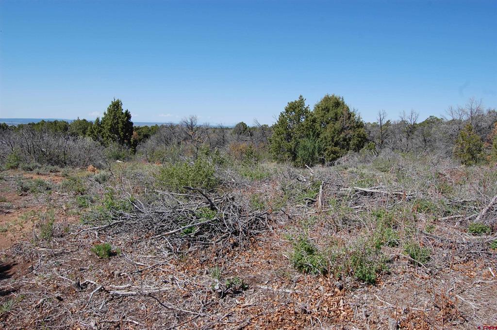 4195 De Oro Way Hesperus CO 81326