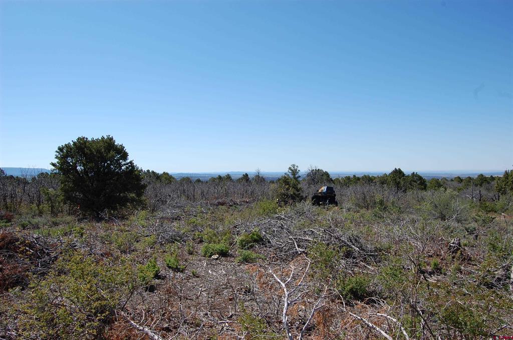 4195 De Oro Way Hesperus CO 81326