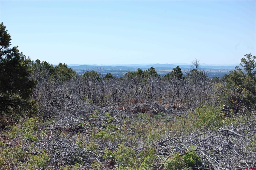 4195 De Oro Way Hesperus CO 81326
