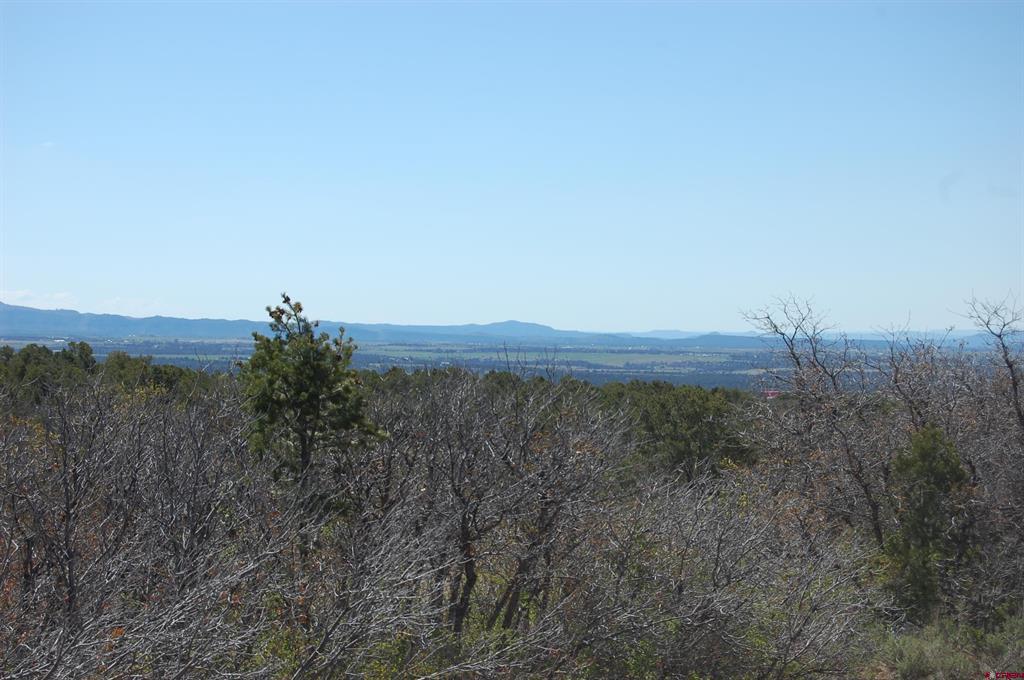 4195 De Oro Way Hesperus CO 81326