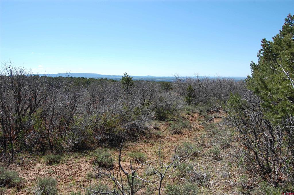 4195 De Oro Way Hesperus CO 81326