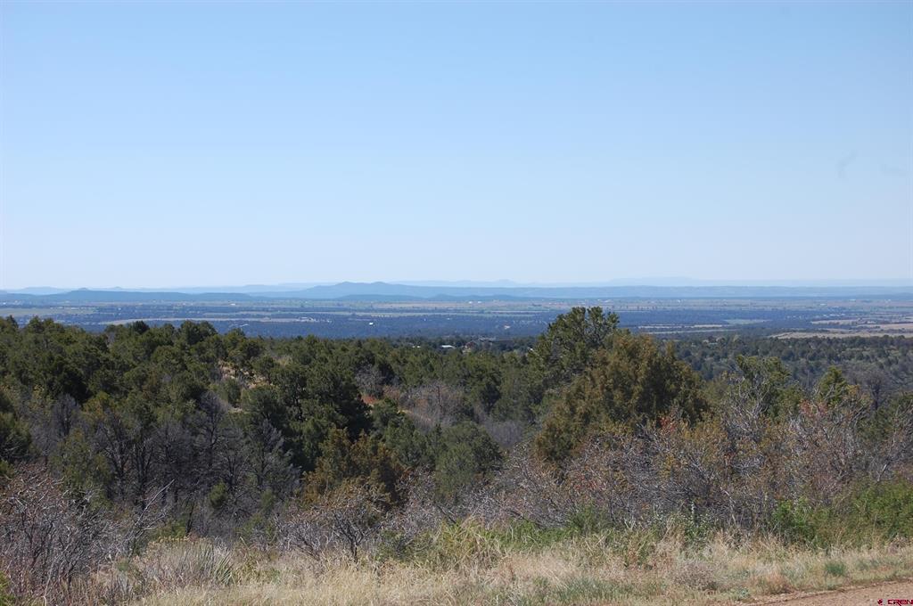 4195 De Oro Way Hesperus CO 81326