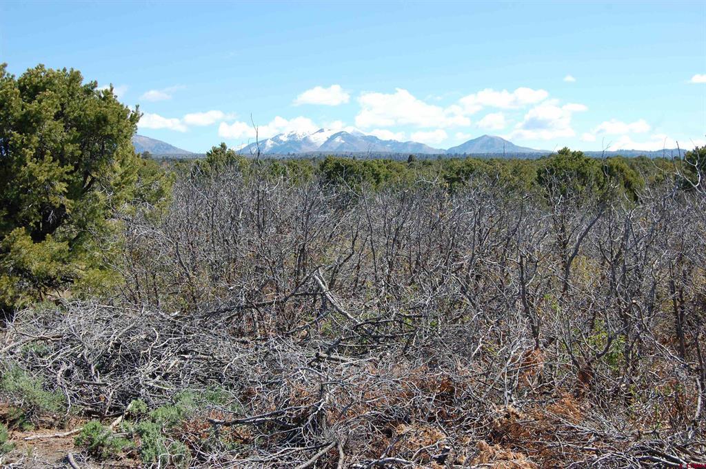 4195 De Oro Way Hesperus CO 81326