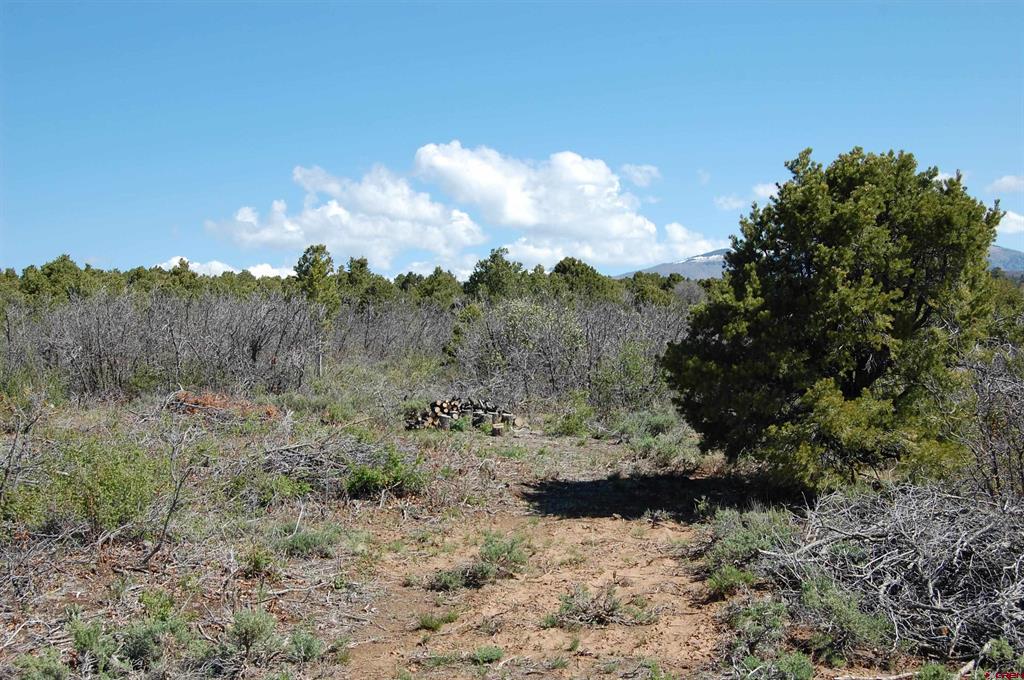 4195 De Oro Way Hesperus CO 81326
