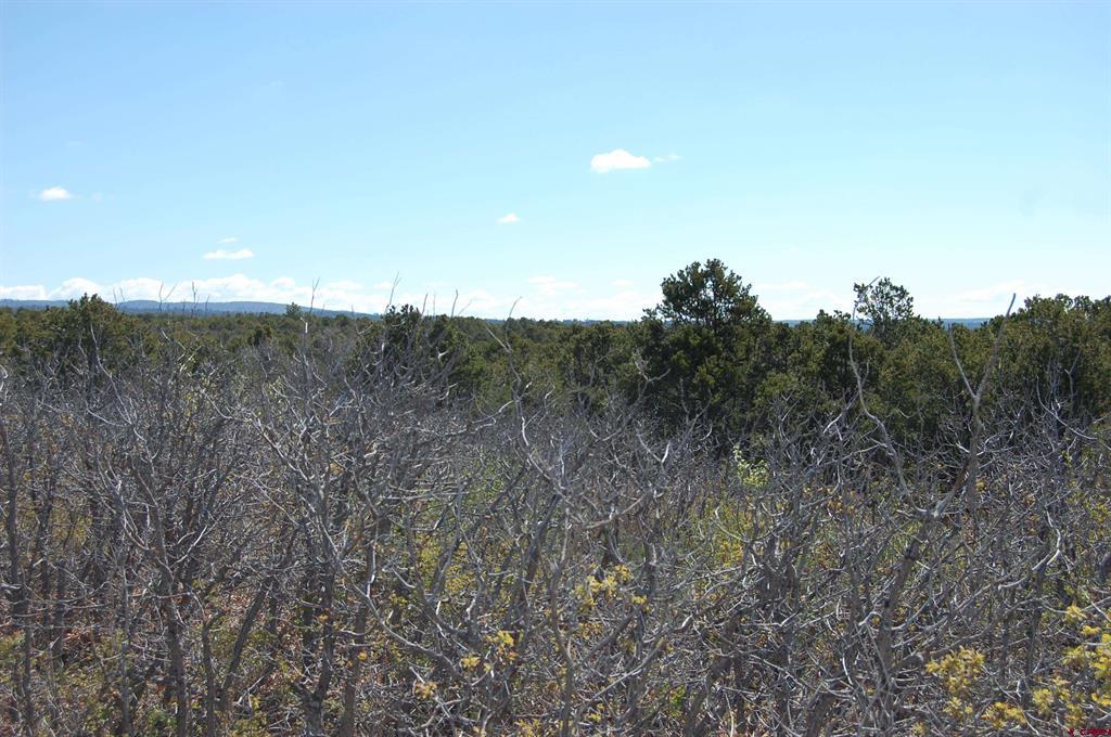 4195 De Oro Way Hesperus CO 81326