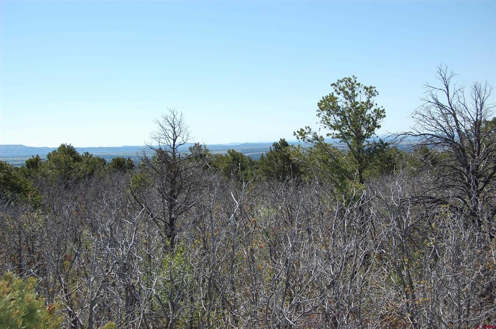 4195 De Oro Way Hesperus CO 81326