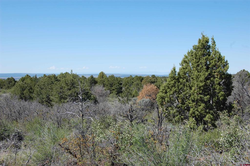 4195 De Oro Way Hesperus CO 81326