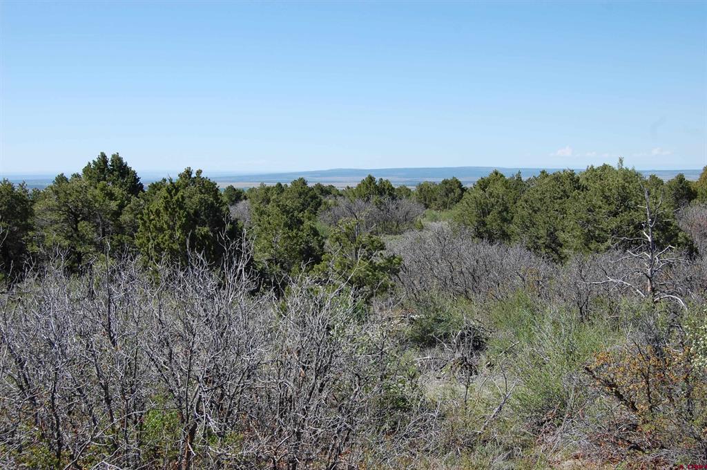 4195 De Oro Way Hesperus CO 81326
