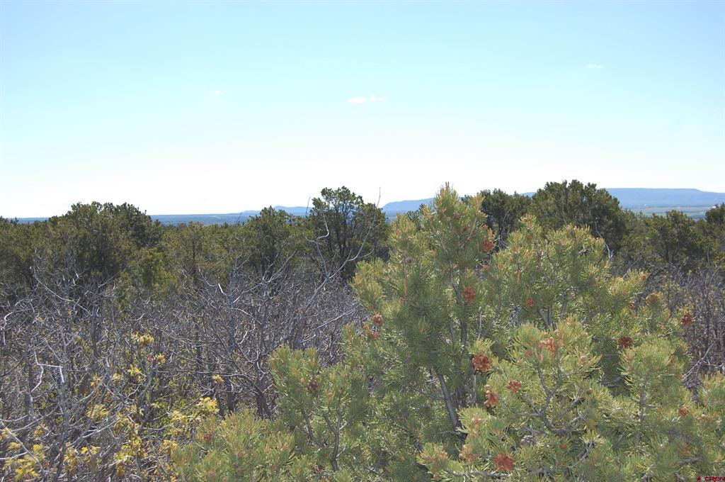 4195 De Oro Way Hesperus CO 81326