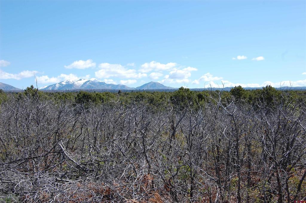 4195 De Oro Way Hesperus CO 81326