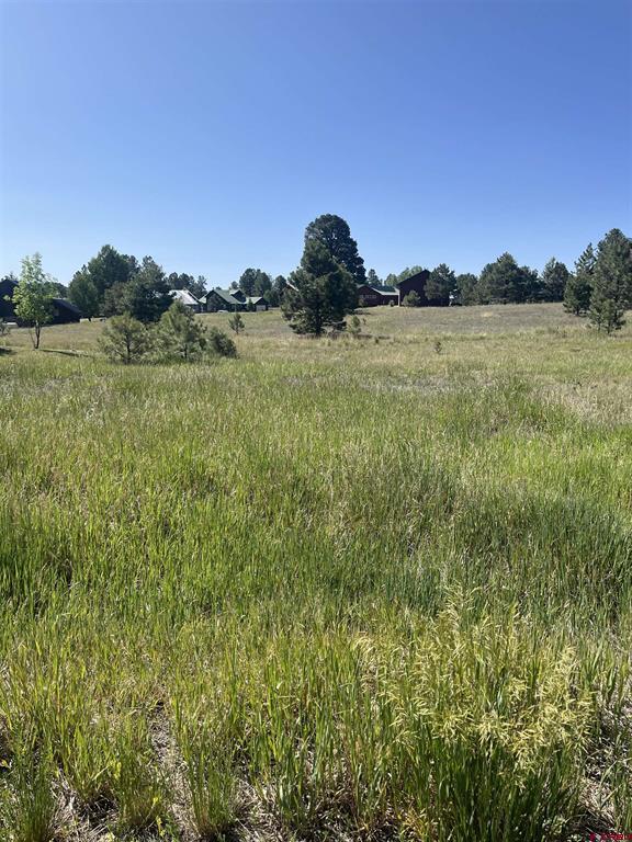 306 Snow Circle Pagosa Springs CO 81147