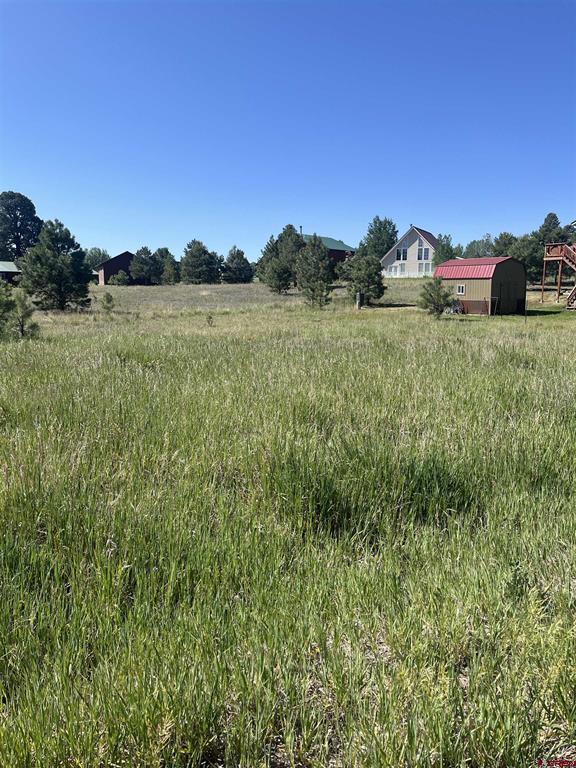 306 Snow Circle Pagosa Springs CO 81147