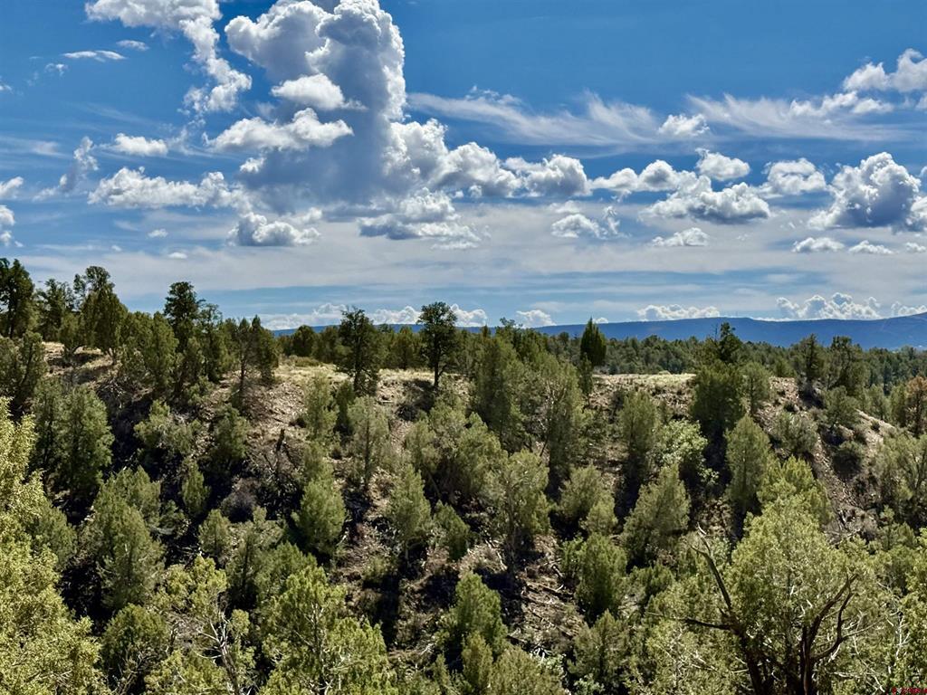 2403 Wrangler Way Durango CO 81301