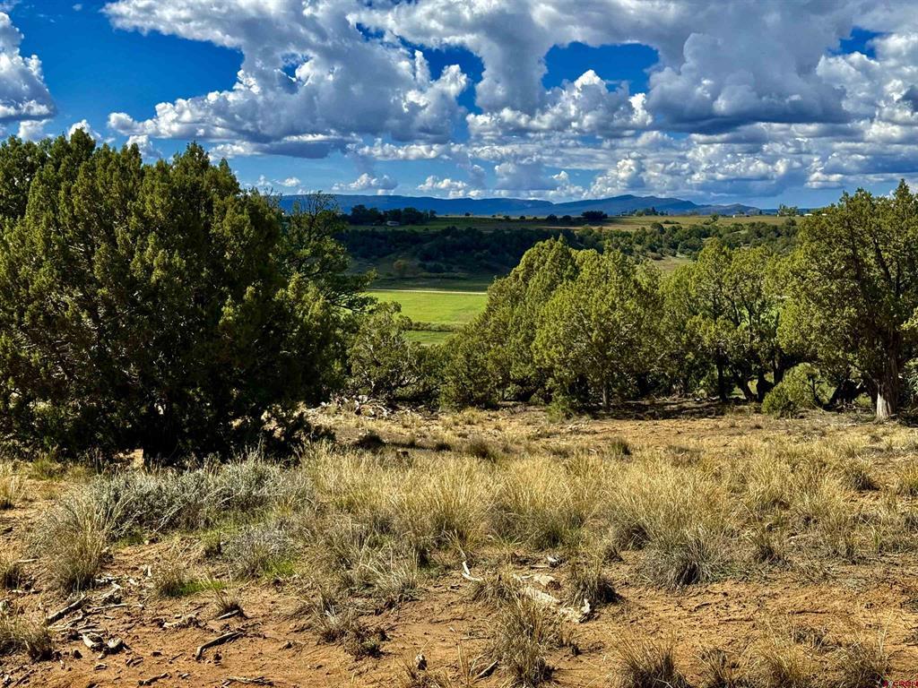 2403 Wrangler Way Durango CO 81301