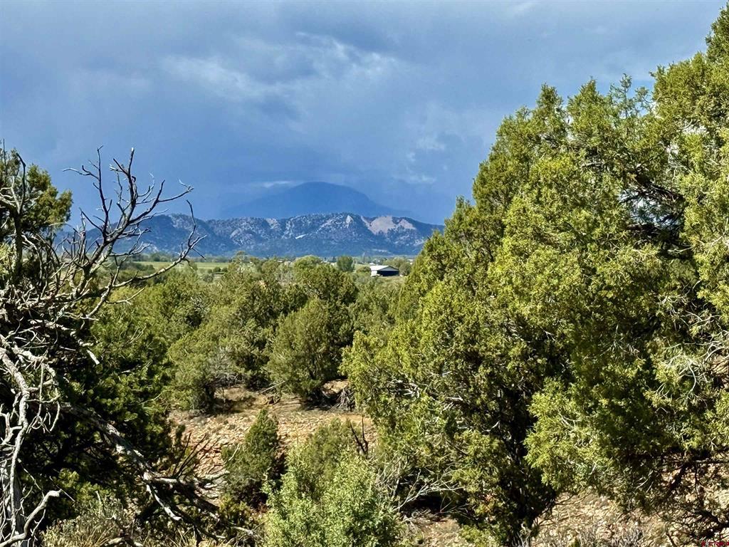 2403 Wrangler Way Durango CO 81301