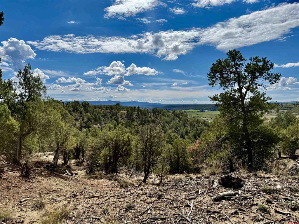 2403 Wrangler Way Durango CO 81301