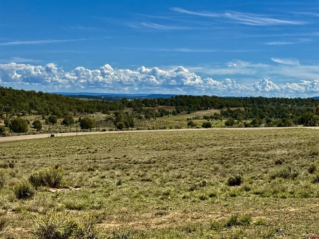 2403 Wrangler Way Durango CO 81301