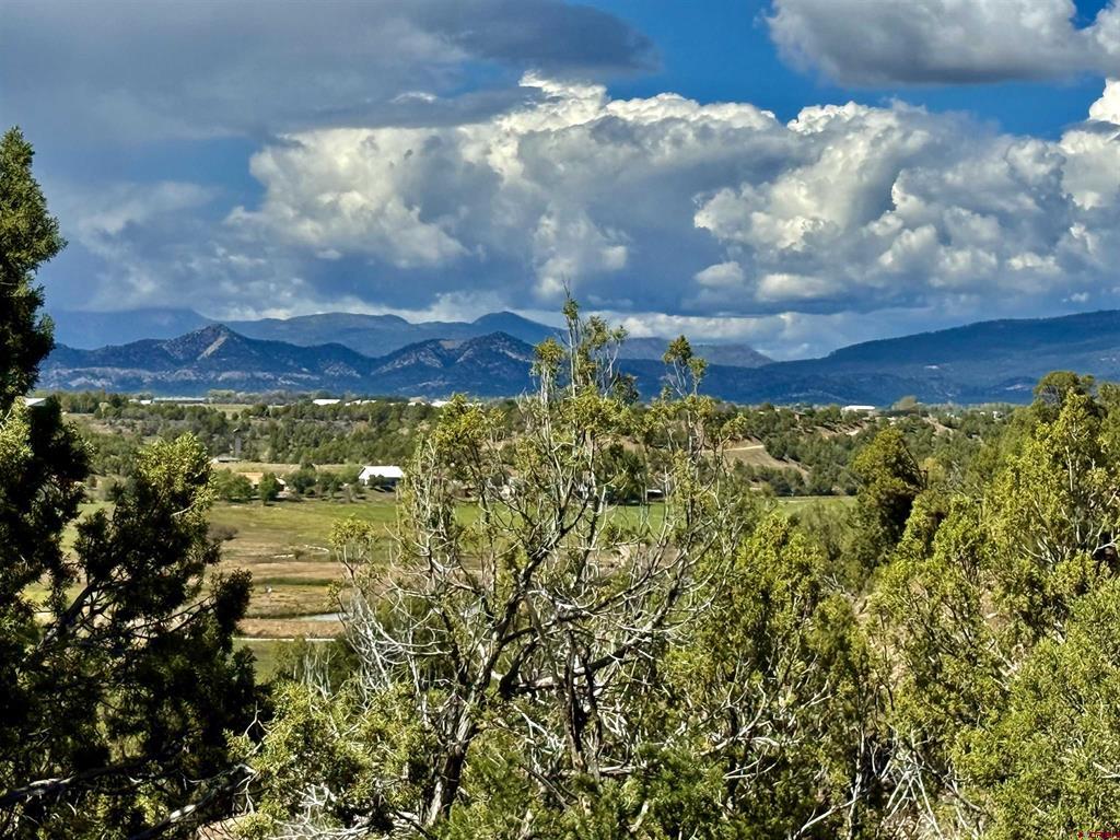 2403 Wrangler Way Durango CO 81301