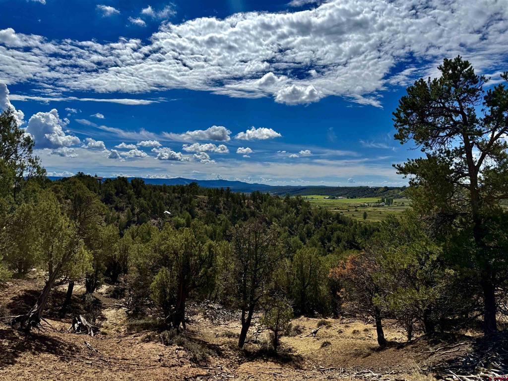 2403 Wrangler Way Durango CO 81301