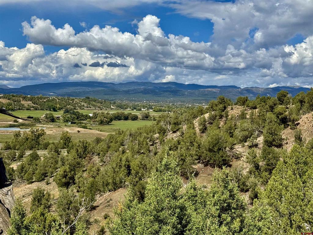 2403 Wrangler Way Durango CO 81301