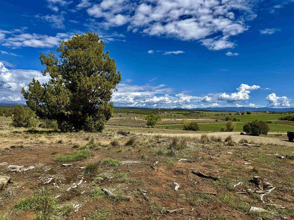 2403 Wrangler Way Durango CO 81301