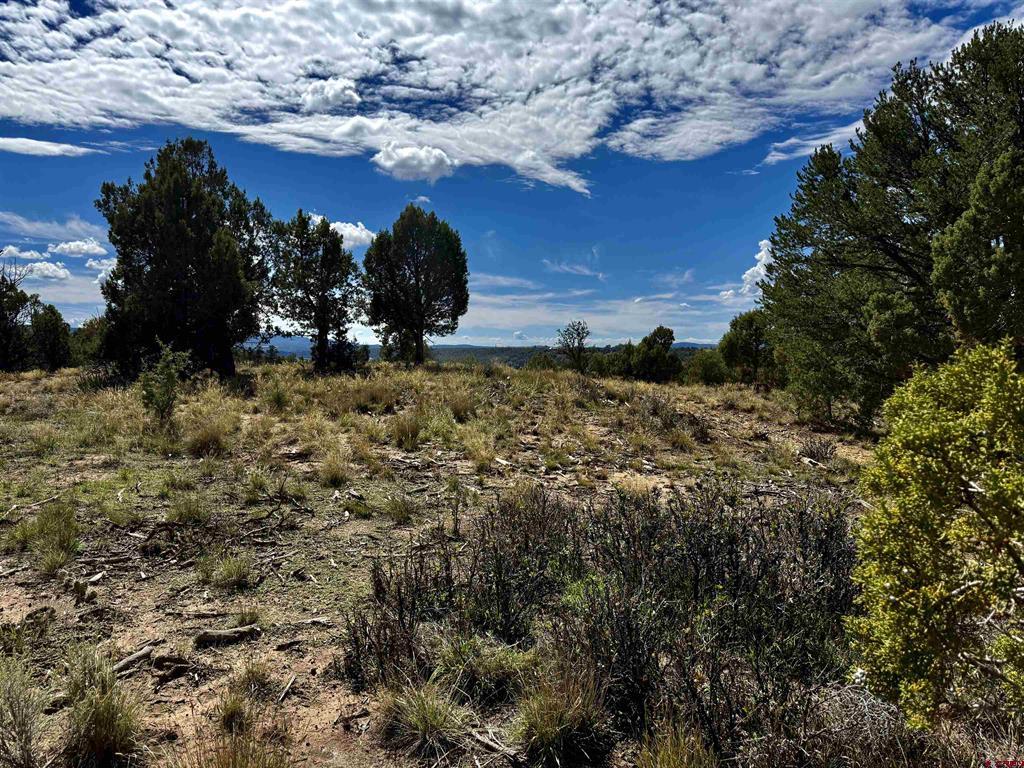 2403 Wrangler Way Durango CO 81301