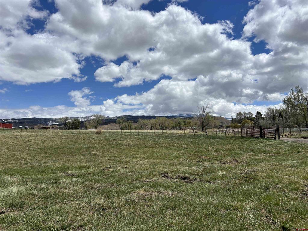 Tbd Kinikin Road Montrose CO 81401