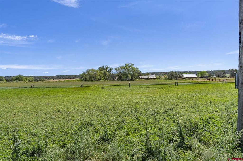 Tbd S Highway 550 Durango CO 81303