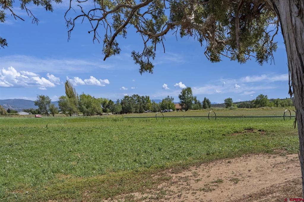 Tbd S Highway 550 Durango CO 81303