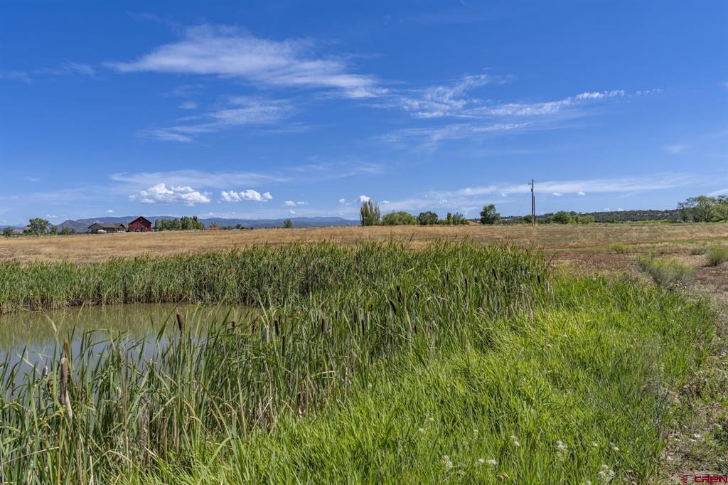 Tbd S Highway 550 Durango CO 81303