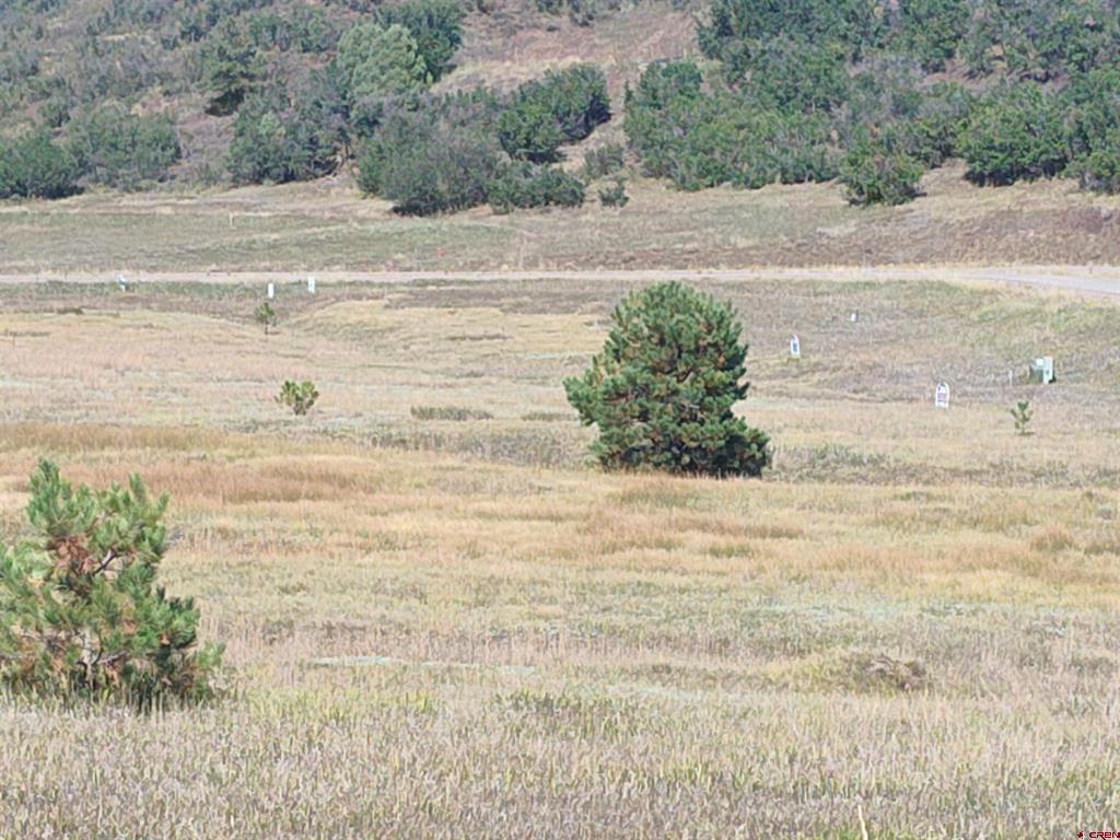 152 Santino Place Pagosa Springs CO 81147