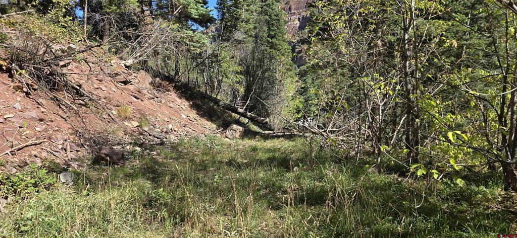 Tbd Oak Street Ouray CO 81427