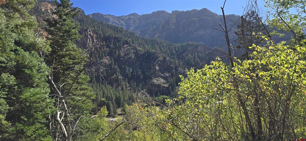 Tbd Oak Street Ouray CO 81427