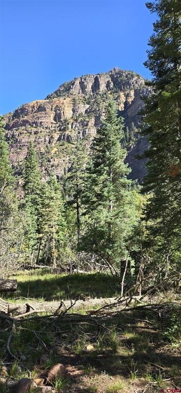 Tbd Oak Street Ouray CO 81427