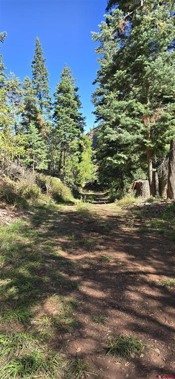Tbd Oak Street Ouray CO 81427