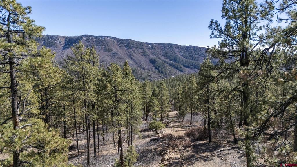 Lot 5a Taylor Ranch Durango CO 81301