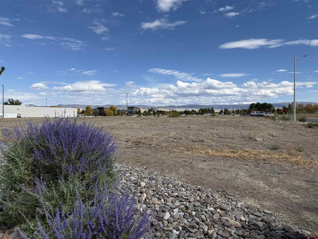 Tbd Oxbow Drive Montrose CO 81401