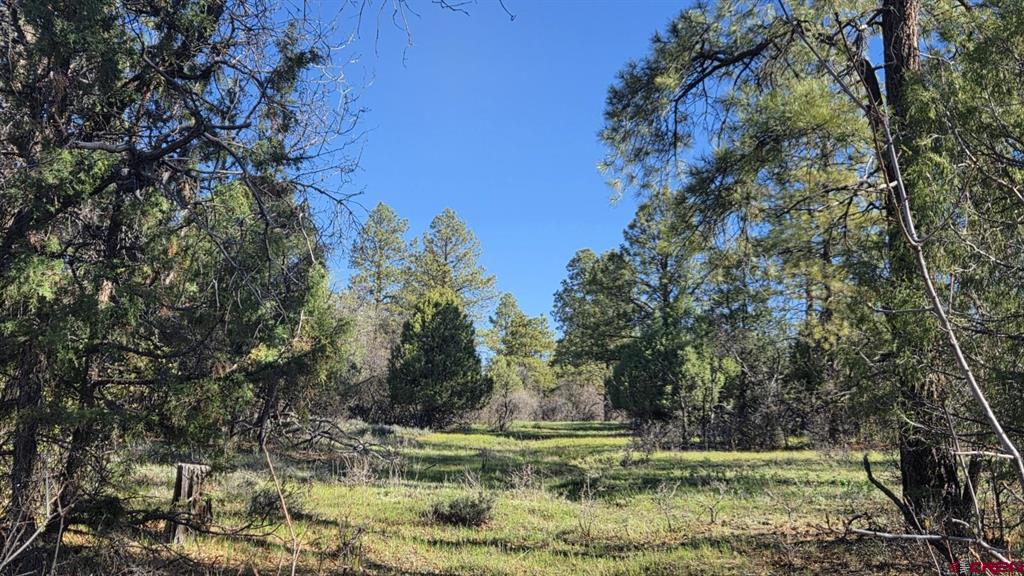 Pagosa Springs CO, 592 Ranchland
