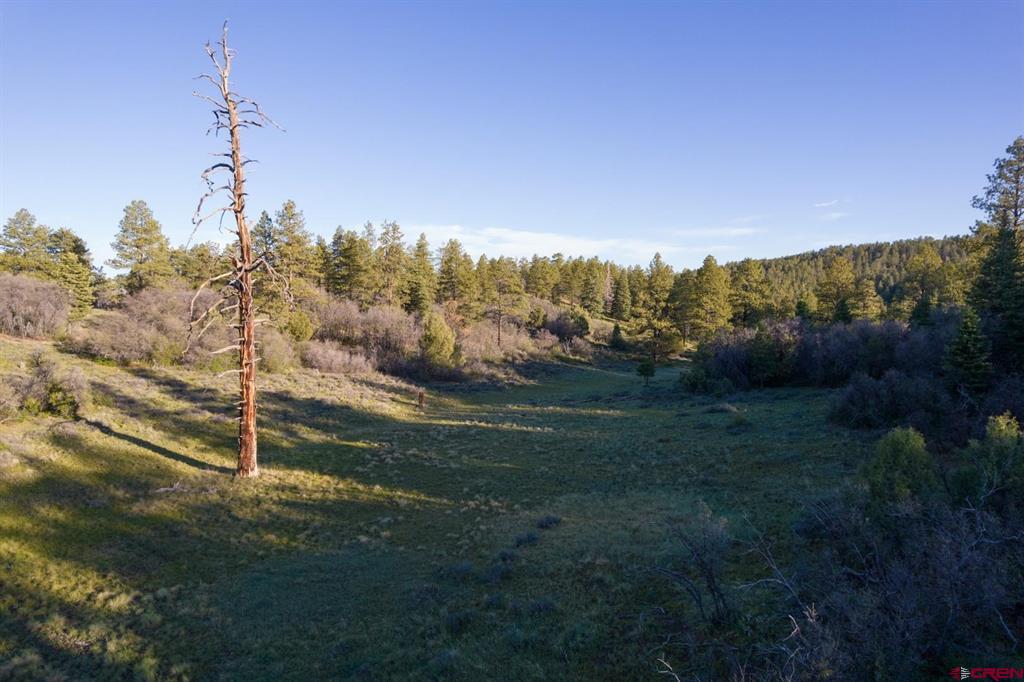 592 Ranchland Drive Pagosa Springs CO 81147