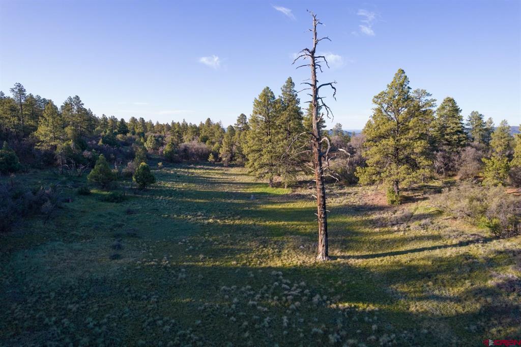 592 Ranchland Drive Pagosa Springs CO 81147