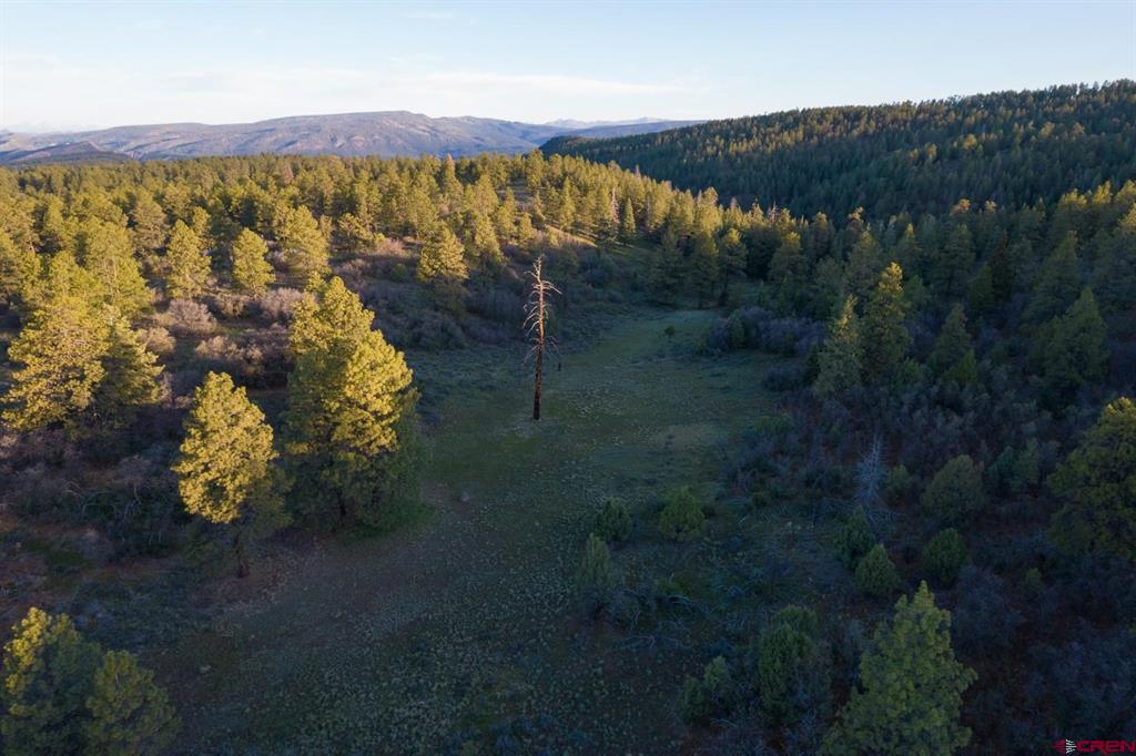 592 Ranchland Drive Pagosa Springs CO 81147