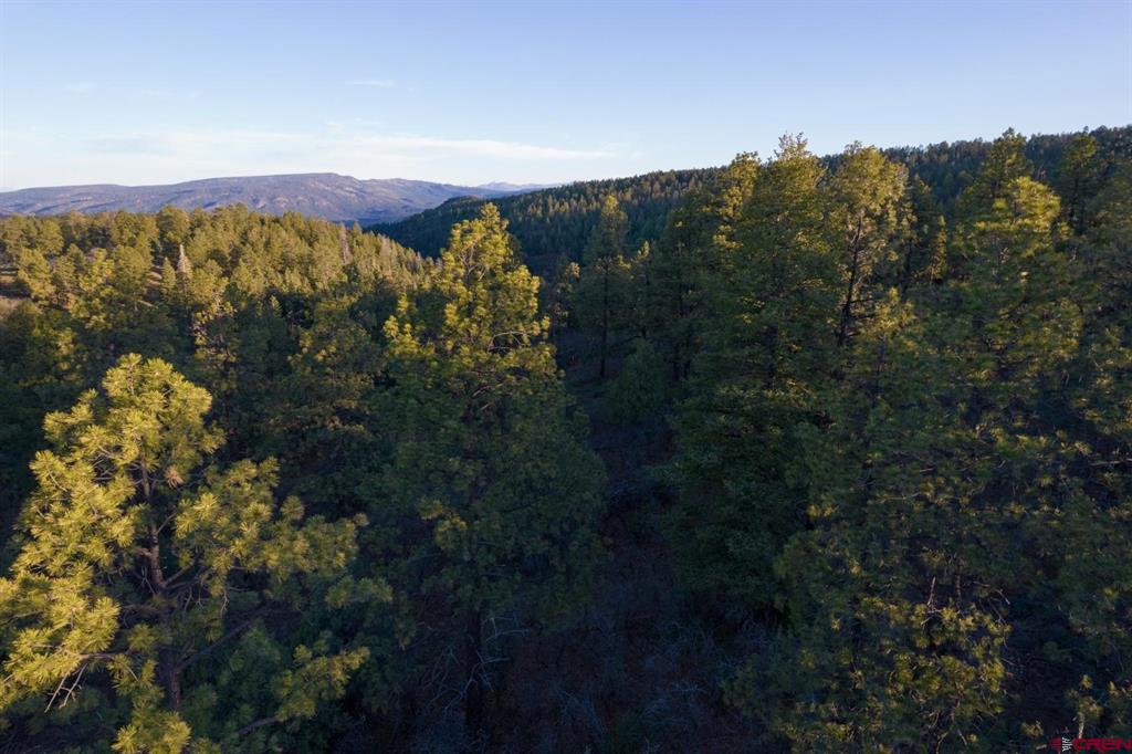 592 Ranchland Drive Pagosa Springs CO 81147