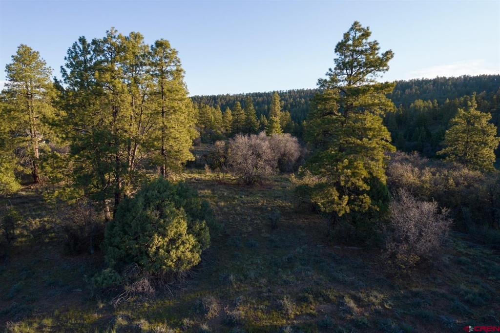592 Ranchland Drive Pagosa Springs CO 81147