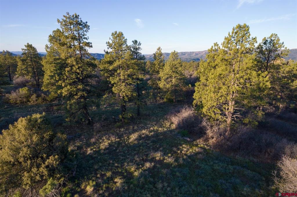 592 Ranchland Drive Pagosa Springs CO 81147
