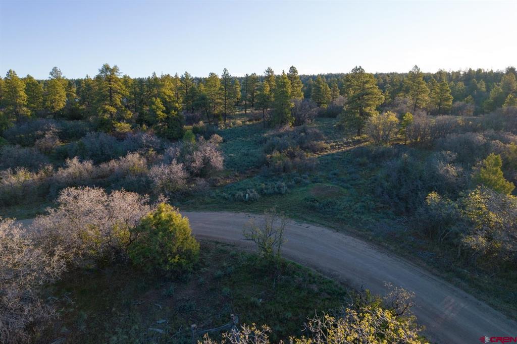592 Ranchland Drive Pagosa Springs CO 81147