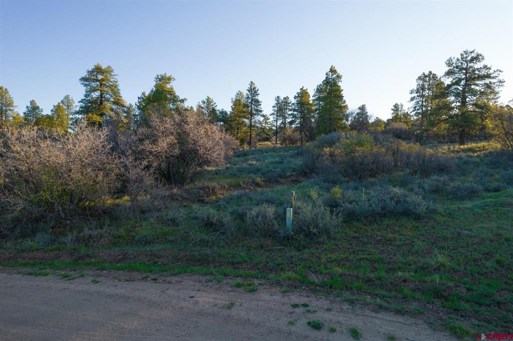 592 Ranchland Drive Pagosa Springs CO 81147