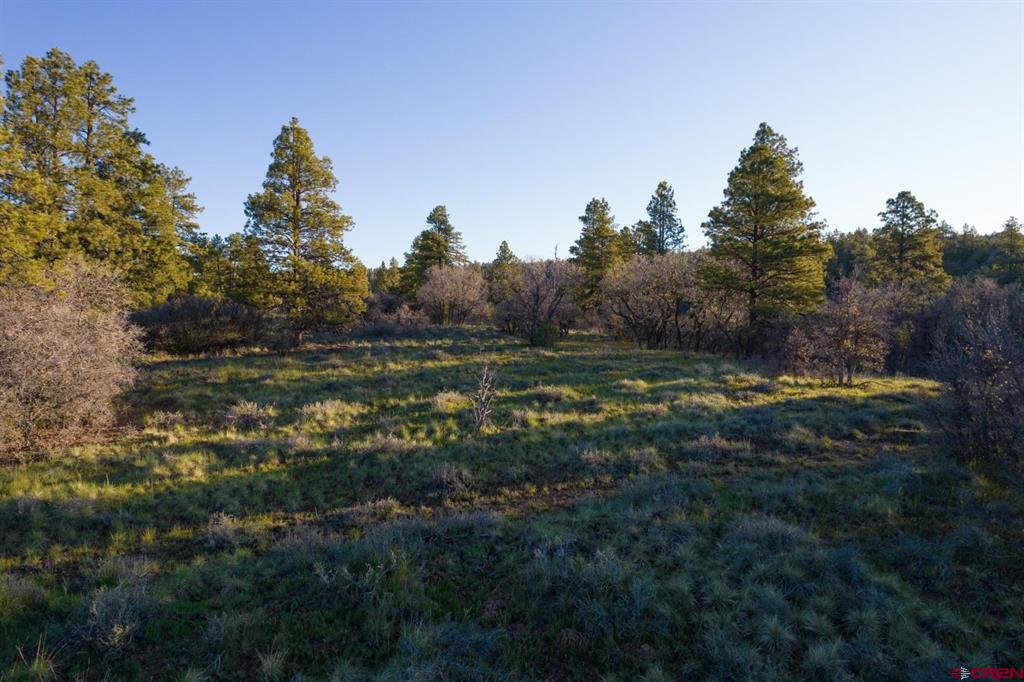 592 Ranchland Drive Pagosa Springs CO 81147