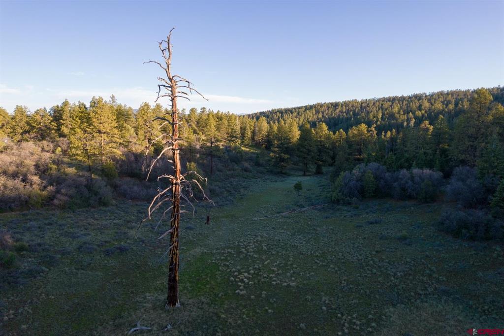 592 Ranchland Drive Pagosa Springs CO 81147