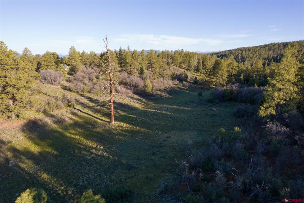 592 Ranchland Drive Pagosa Springs CO 81147